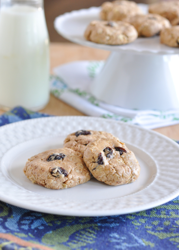 No-Bake Oatmeal Raisin Protein Cookie | www.nutritiouseats.com