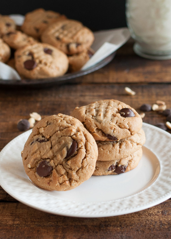 Peanut Butter Chocolate Chip Cookie {Splurge-worth} | www.nutritiouseats.com