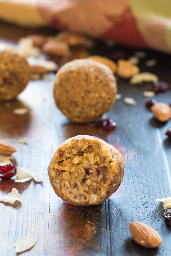 Pumpkin Cranberry Energy Balls-1-3