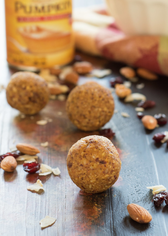 Pumpkin Cranberry Energy Balls-1