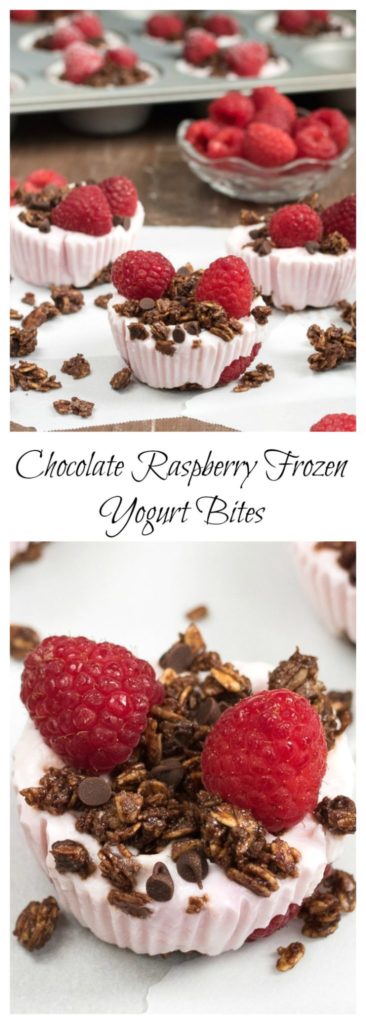 Chocolate Raspberry Frozen Yogurt Bites- keep in a zip lock bag in the freezer and grab one when you need it! #glutenfree #VantasticFoodies #Ad |www.nutritiouseats.com