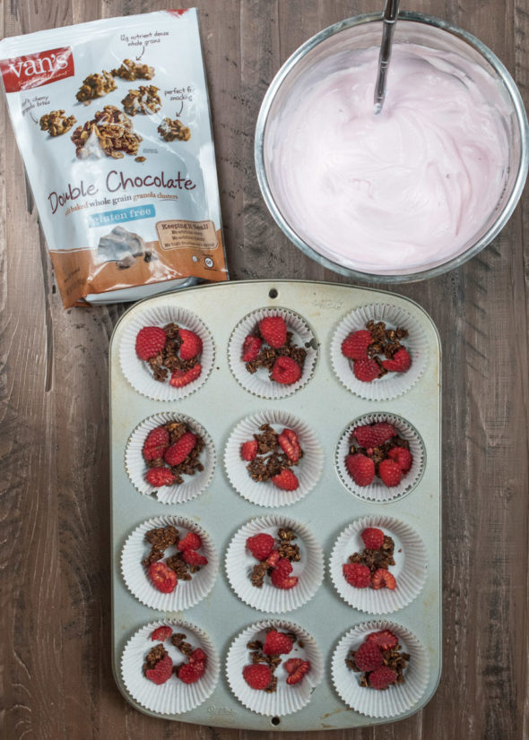 Chocolate Raspberry Frozen Yogurt Bites- keep in a zip lock bag in the freezer and grab one when you need it! #glutenfree #VantasticFoodies #Ad |www.nutritiouseats.com