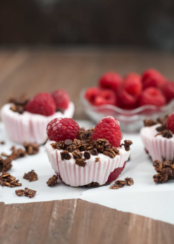 Chocolate Raspberry Frozen Yogurt Bites- keep in a zip lock bag in the freezer and grab one when you need it! #glutenfree #VantasticFoodies #Ad |www.nutritiouseats.com