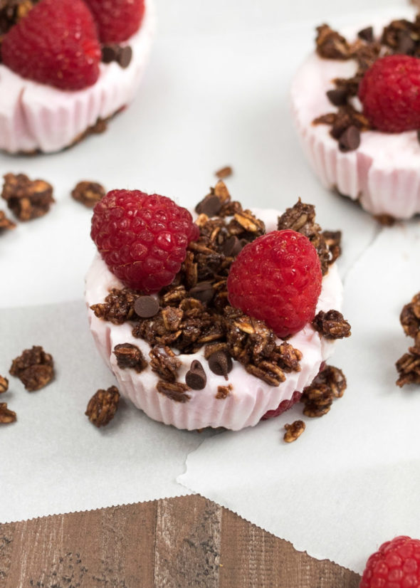 Chocolate Raspberry Frozen Yogurt Bites- keep in a zip lock bag in the freezer and grab one when you need it! #glutenfree #VantasticFoodies #Ad |www.nutritiouseats.com