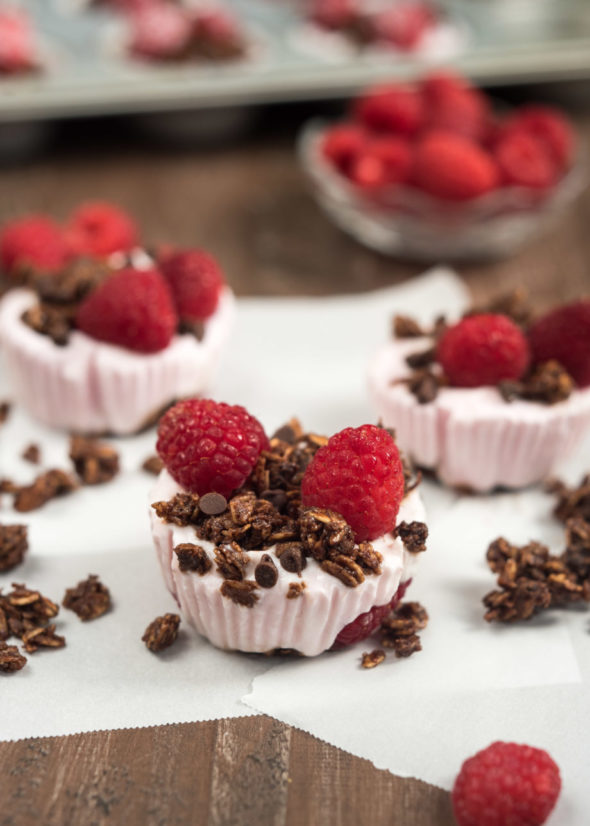 Chocolate Raspberry Frozen Yogurt Bites- keep in a zip lock bag in the freezer and grab one when you need it! #glutenfree #VantasticFoodies #Ad |www.nutritiouseats.com