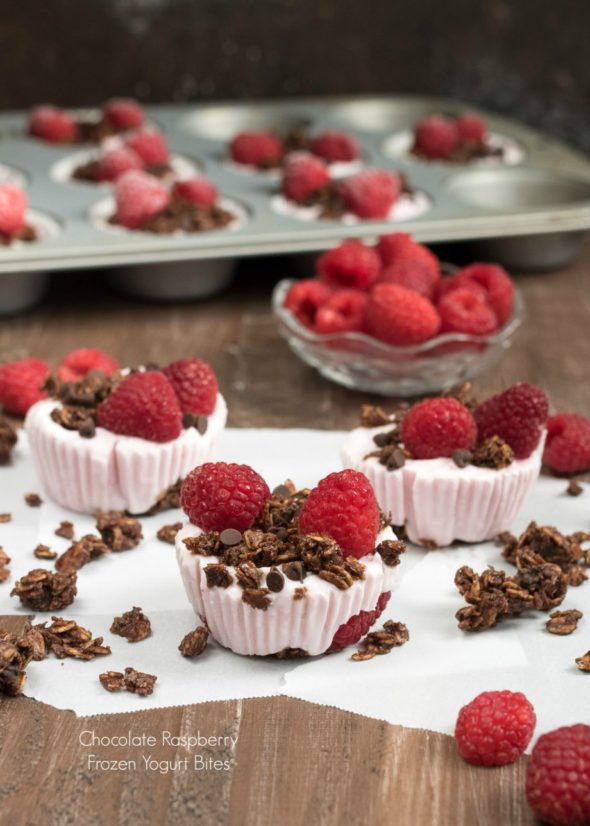 Chocolate Raspberry Frozen Yogurt Bites- keep in a zip lock bag in the freezer and grab one when you need it! #glutenfree #VantasticFoodies #Ad |www.nutritiouseats.com