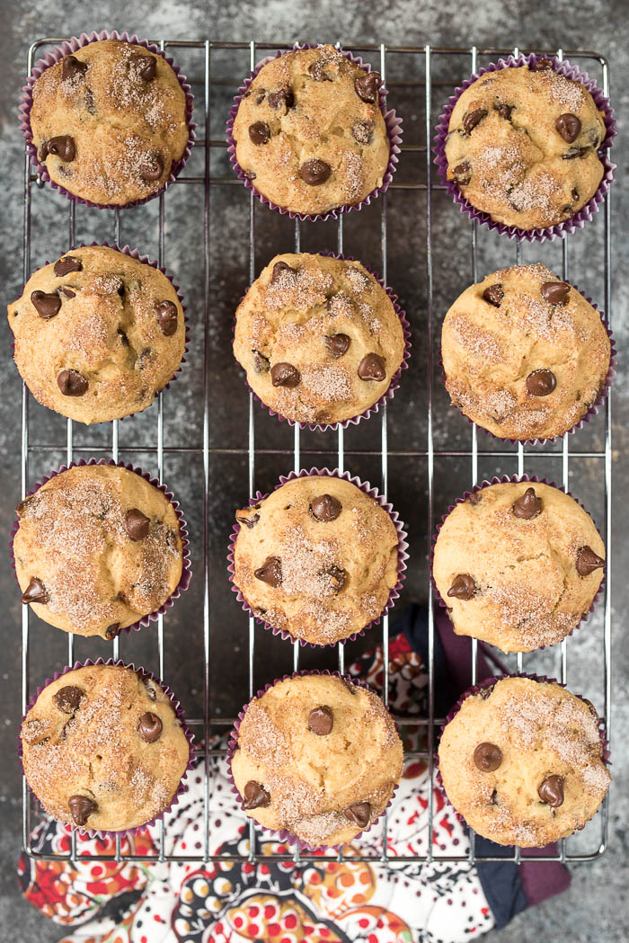 Chocolate Chip Greek Yogurt Muffins- a fun breakfast or snack for the kids, plus info on ways to get more Greek Yogurt into your child's diet! #glutenfree | www.nutritiouseats.com