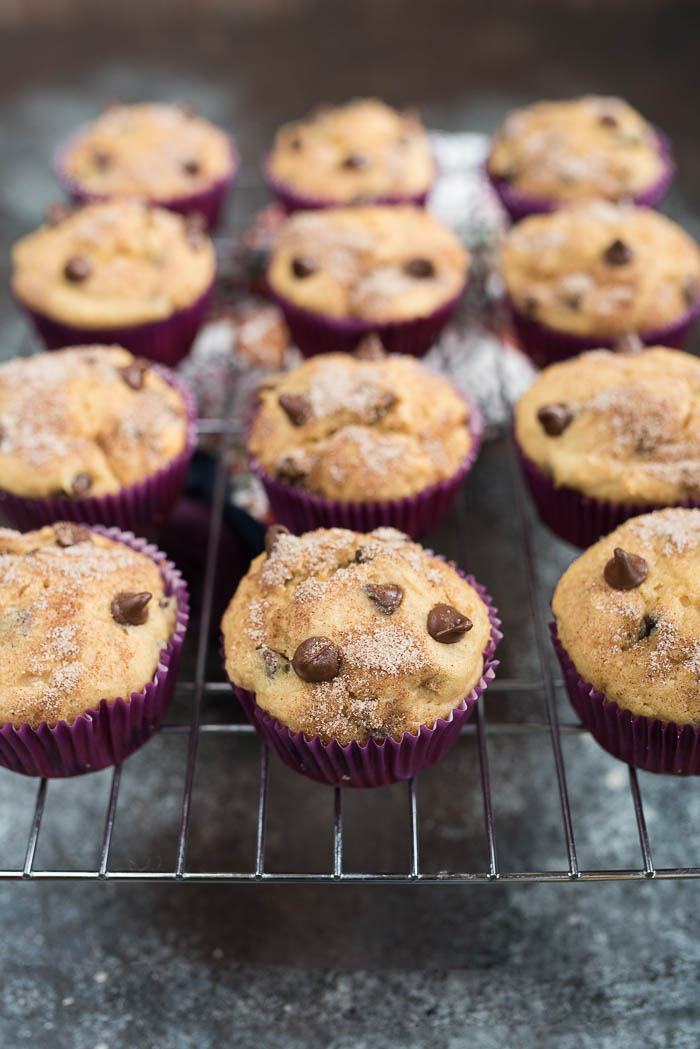 chocolate-chip-greek-yogurt-muffins-2