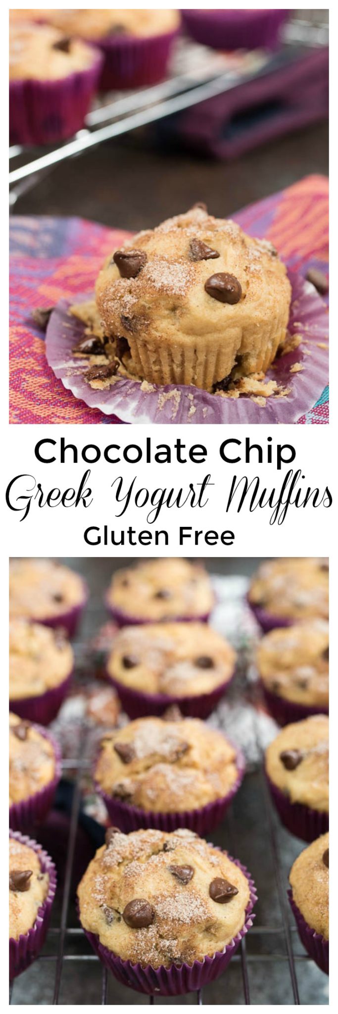 Chocolate Chip Greek Yogurt Muffins- a fun breakfast or snack for the kids, plus info on ways to get more Greek Yogurt into your child's diet! #glutenfree | www.nutritiouseats.com