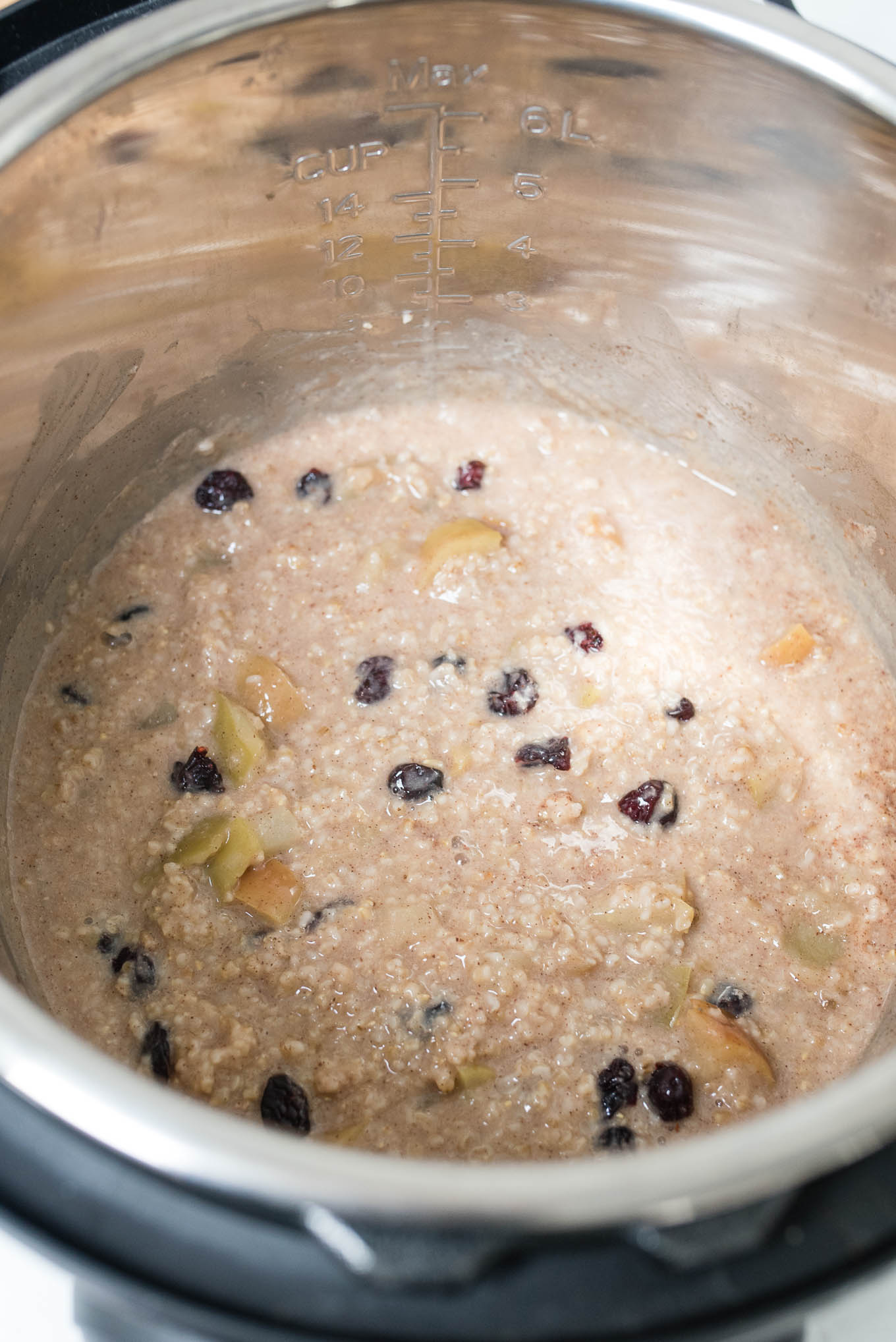 Instant Pot Steel Cut Oatmeal