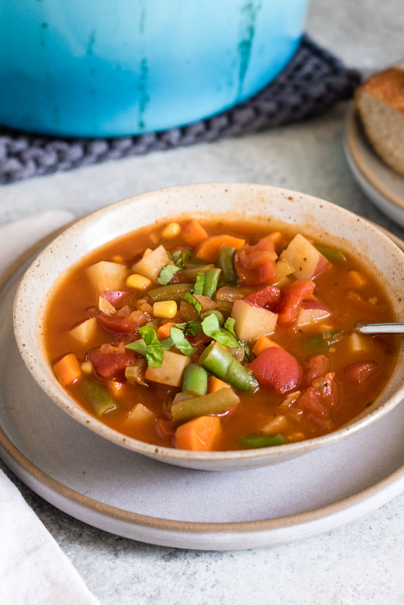 Bowl of vegetable soup 