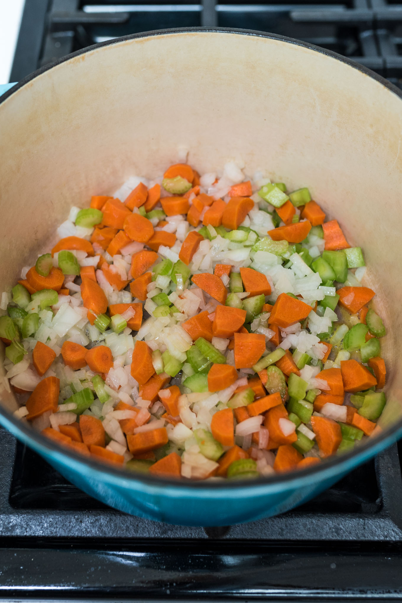 Soup pot with carrots, onions and celery 