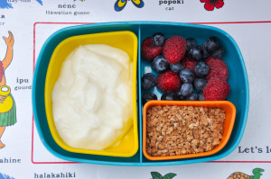 Back to School Lunches & a Giveaway!