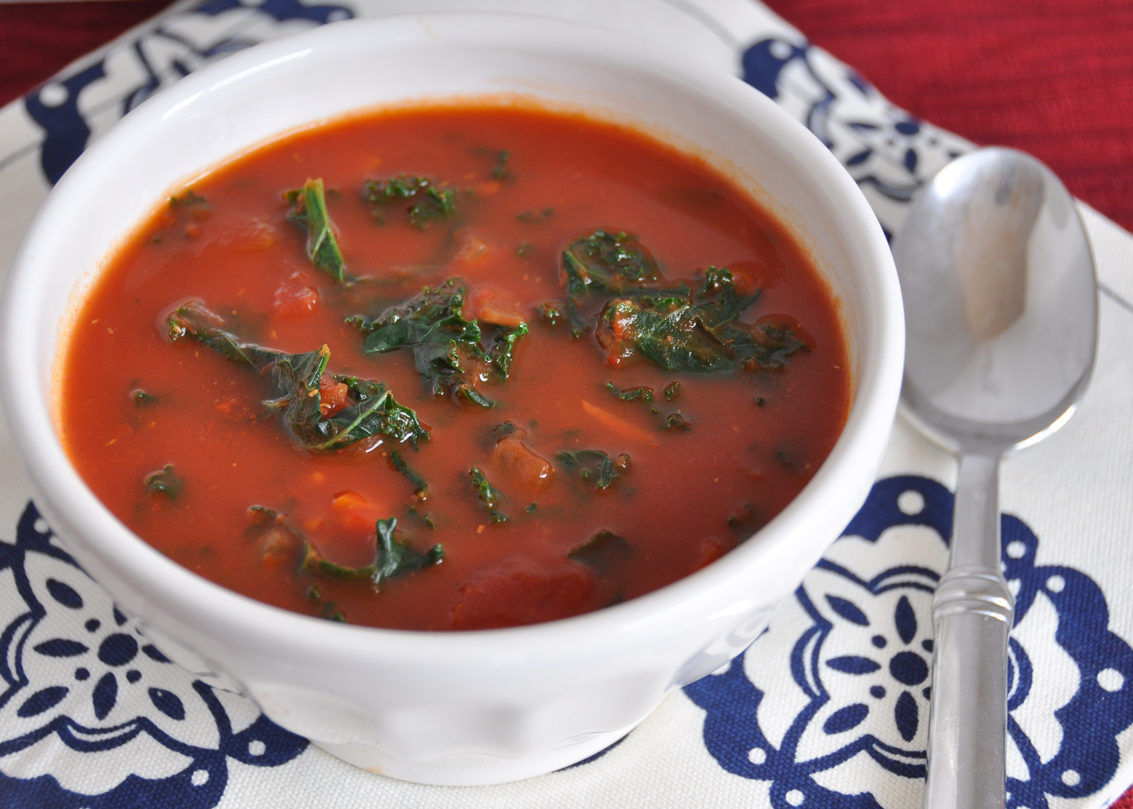 Chunky Fresh Tomato Oregano Soup. A healthy delicious lunch!