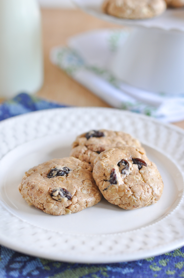 No-Bake Oatmeal Raisin Protein Cookies
