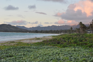 Kailua Monkey {Peanut Butter Banana Smoothie}