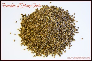 Nutritional Benefits and Ways to Enjoy Hemp Seeds