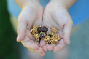 Back-to-School Snacking with NatureBox & Lunch Tips