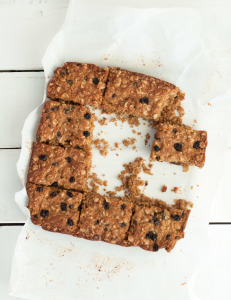 Oatmeal Currant Bars with Coconut Flour {Gluten Free}