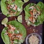 Sweet and Spicy Chicken Lettuce Wraps- low carb, high protein, super simple for a light dinner or appetizer night | www.nutritiouseats.com