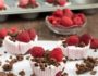 Chocolate Raspberry Frozen Yogurt Bites- keep in a zip lock bag in the freezer and grab one when you need it! #glutenfree #VantasticFoodies #Ad |www.nutritiouseats.com